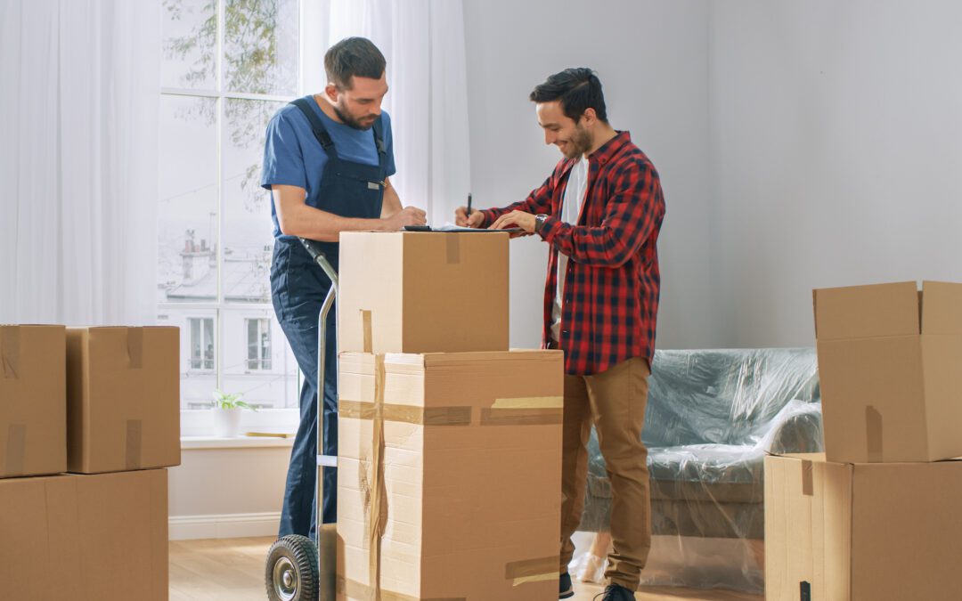 What to Look for in Professional Apartment Movers